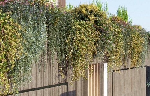 Bundle02 – Vines And Creepers
