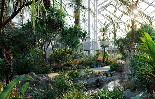Bundle14 – Tropical Garden 02