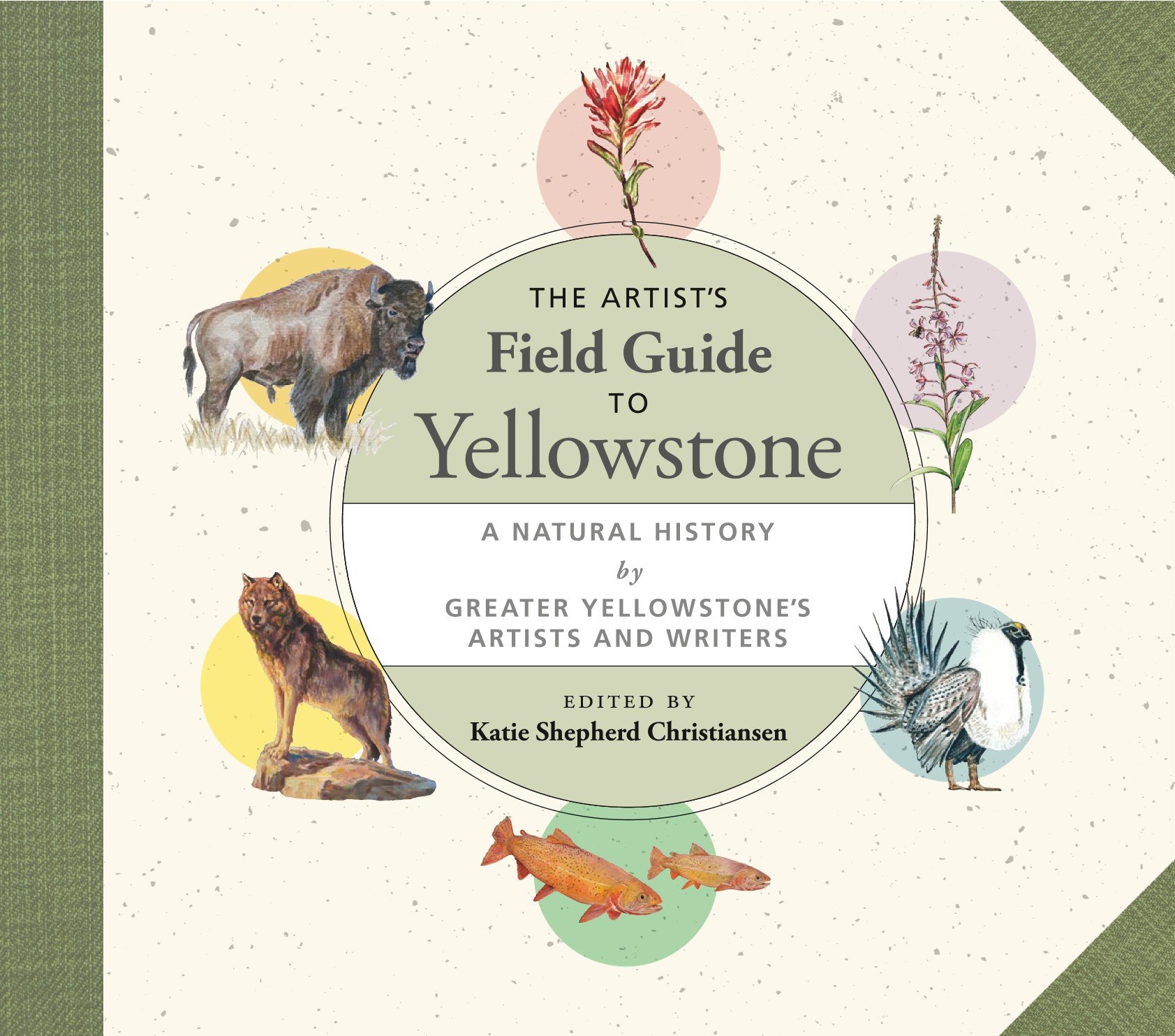 Yellowstone guide book