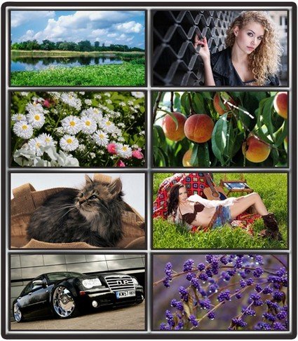 Collection wallpapers to your desktop #985