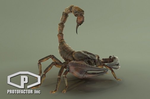 Unity Asset - Giant Scorpion v1.0