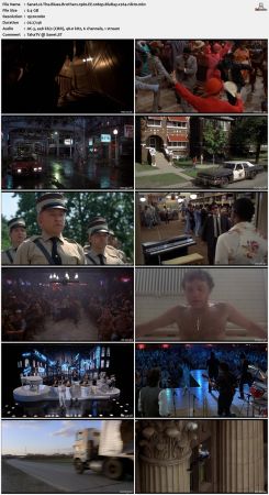 The Blues Brothers 1980 EE 1080p BluRay x264-nikt0