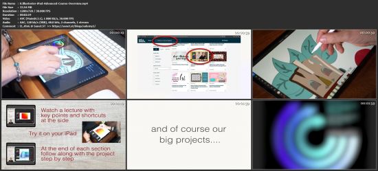 Illustrator on the iPad: Advanced