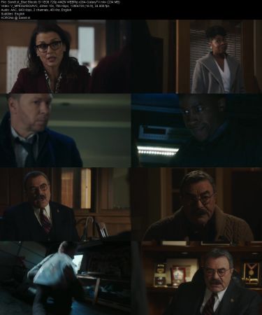 Blue Bloods S11 720p AMZN WEBRip x264-GalaxyTV