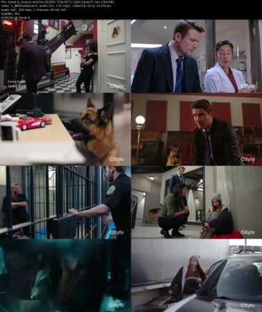 Hudson and Rex S02 720p HDTV x264-GalaxyTV