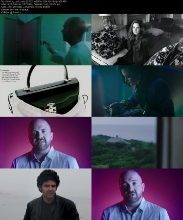 Last Looks S01 WEBRip x264-ION10