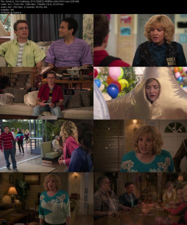 The Goldbergs 2013 S08 WEBRip x264-ION10