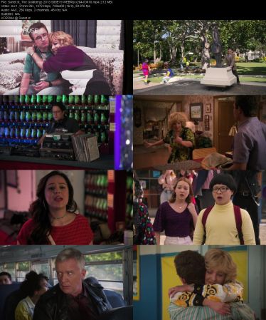 The Goldbergs 2013 S08 WEBRip x264-ION10