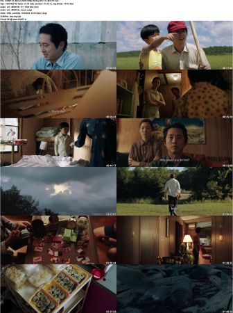 Minari 2020 1080p BluRay DD5.1 x264-iFT