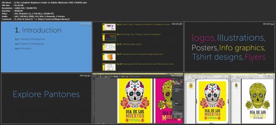 Beginners Guide To Adobe Illustrator