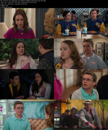 The Goldbergs 2013 S08 WEBRip x264-ION10