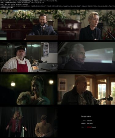 The Kominsky Method S03 720p NF WEBRip x264-GalaxyTV
