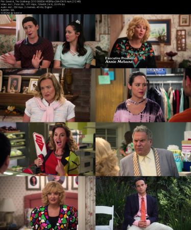 The Goldbergs 2013 S08 WEBRip x264-ION10