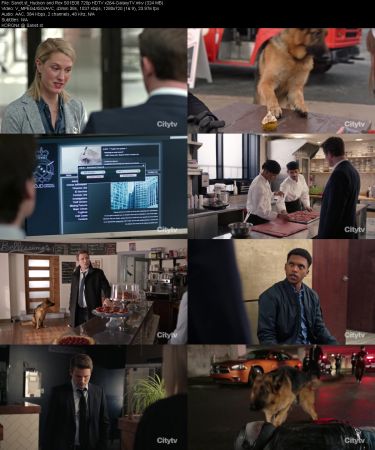 Hudson and Rex S01 720p HDTV x264-GalaxyTV