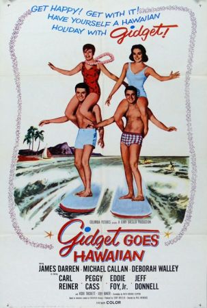 Gidget Goes Hawaiian 1961 1080p WEBRip x264-RARBG