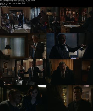 Blue Bloods S11 WEBRip x264-ION10