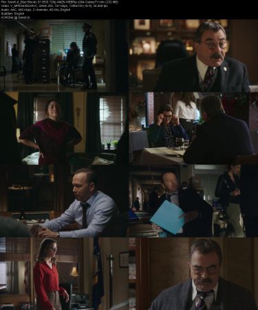 Blue Bloods S11 720p AMZN WEBRip x264-GalaxyTV