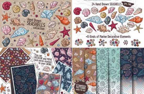Seashells Collection - 1345586