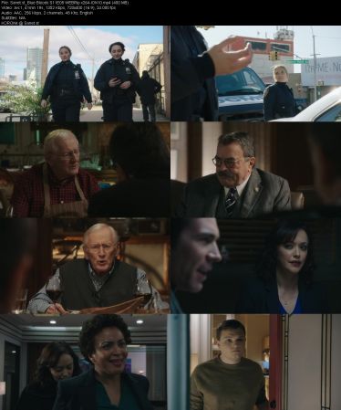 Blue Bloods S11 WEBRip x264-ION10