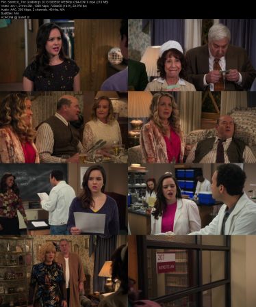 The Goldbergs 2013 S08 WEBRip x264-ION10