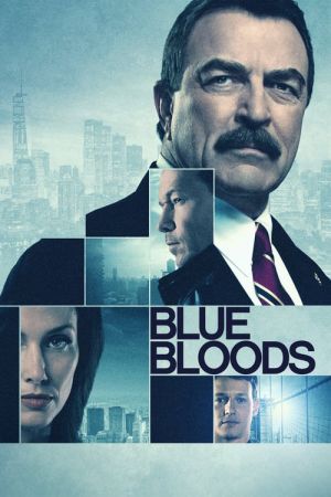 Blue Bloods S11 720p AMZN WEBRip x264-GalaxyTV
