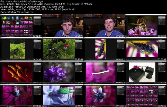Macro Photography Course