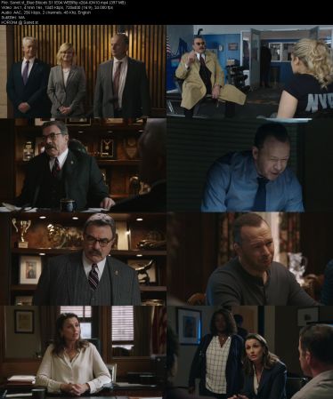 Blue Bloods S11 WEBRip x264-ION10
