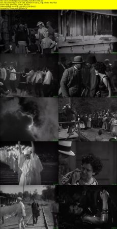 Hallelujah 1929 WEBRip XviD MP3-XVID