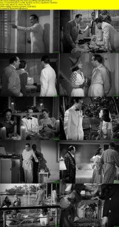 Nothing But The Truth 1941 BRRip XviD MP3-XVID