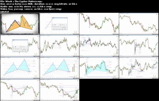The Ultimate Trader Transformation – FOREX Mastery Course
