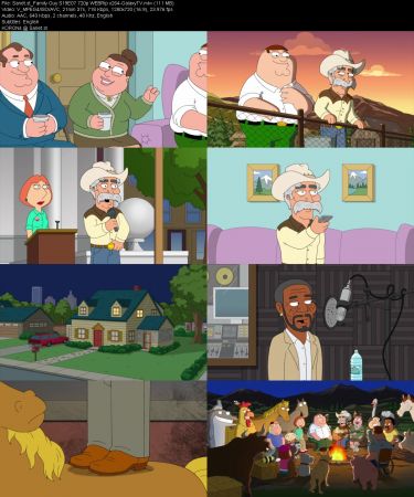 Family Guy S19 HULU 720p WEBRip x264-GalaxyTV