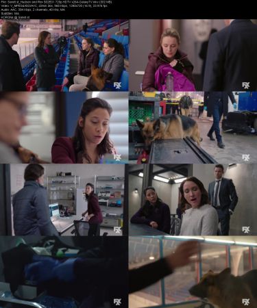 Hudson and Rex S02 720p HDTV x264-GalaxyTV