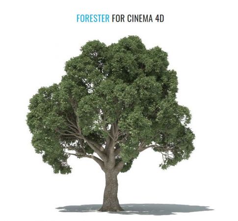 3DQUAKERS - Forester v1.4.9 Plus Expansion Pack1 v1.1.9 For Cinema 4D R23 (Win-x64)