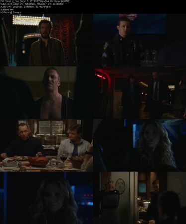 Blue Bloods S11 WEBRip x264-ION10
