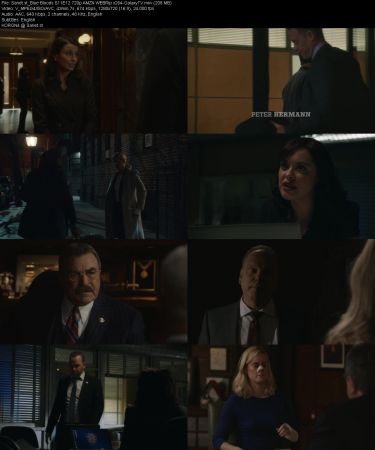 Blue Bloods S11 720p AMZN WEBRip x264-GalaxyTV
