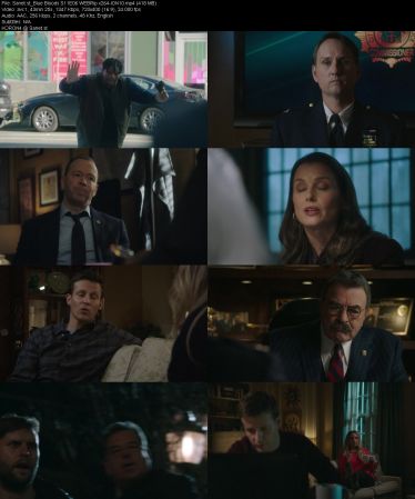 Blue Bloods S11 WEBRip x264-ION10