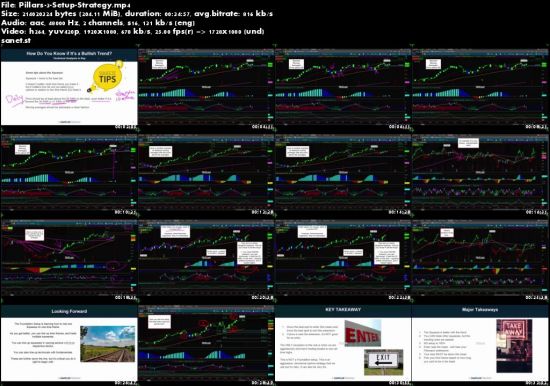 Danielle Shay's Pillars of Options Trading Class