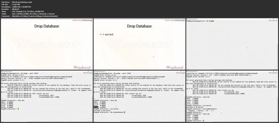  MongoDB : A Complete Database Administration Course 