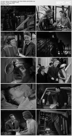 Johnny Belinda 1948 1080p WEBRip x265-RARBG