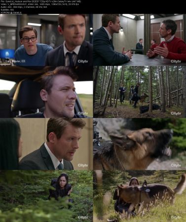 Hudson and Rex S02 720p HDTV x264-GalaxyTV