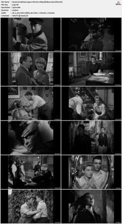 Orpheus 1950 Criterion 1080p BluRay x264-nikt0