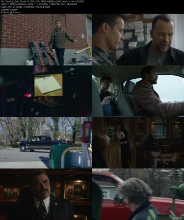 Blue Bloods S11 720p AMZN WEBRip x264-GalaxyTV