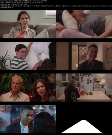 Special S02 720p NF WEBRip x264-GalaxyTV