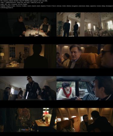 Halston S01 720p NF WEBRip x264-GalaxyTV
