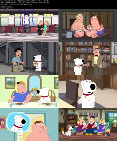 Family Guy S19 HULU 720p WEBRip x264-GalaxyTV
