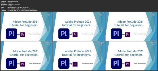 Adobe Prelude tutorial for beginners: And sending to Adobe Premier pro.