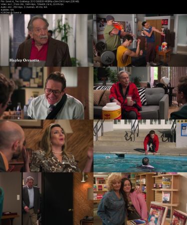 The Goldbergs 2013 S08 WEBRip x264-ION10