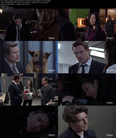Hudson and Rex S02 720p HDTV x264-GalaxyTV
