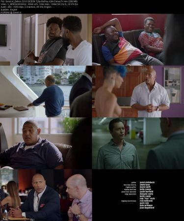Ballers 2015 S02 720p BluRay x264-GalaxyTV
