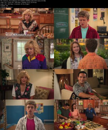 The Goldbergs 2013 S08 WEBRip x264-ION10